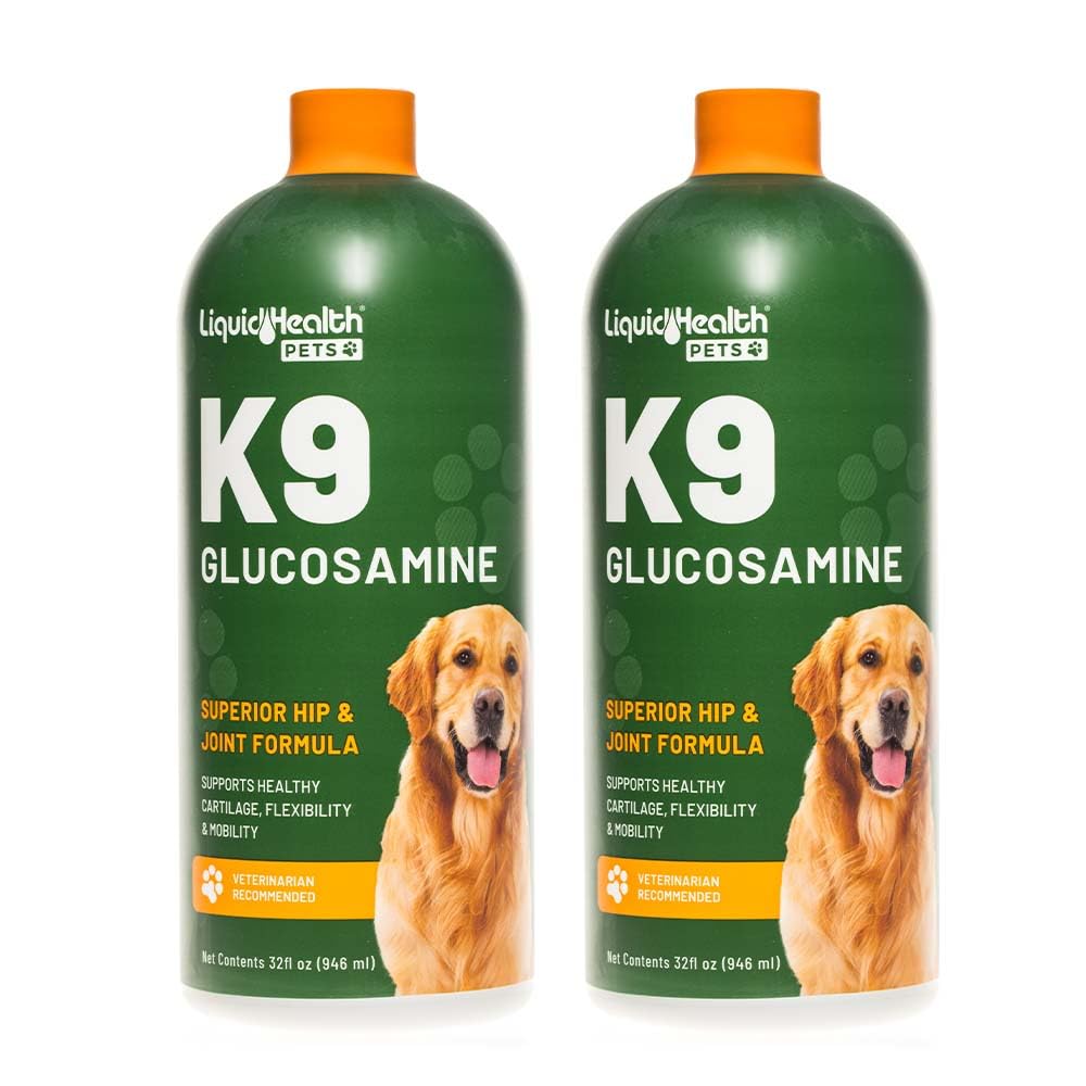 Liquid Glucosamine for Dogs with Chondroitin MSM Hyaluronic Acid 2 Pack Q167