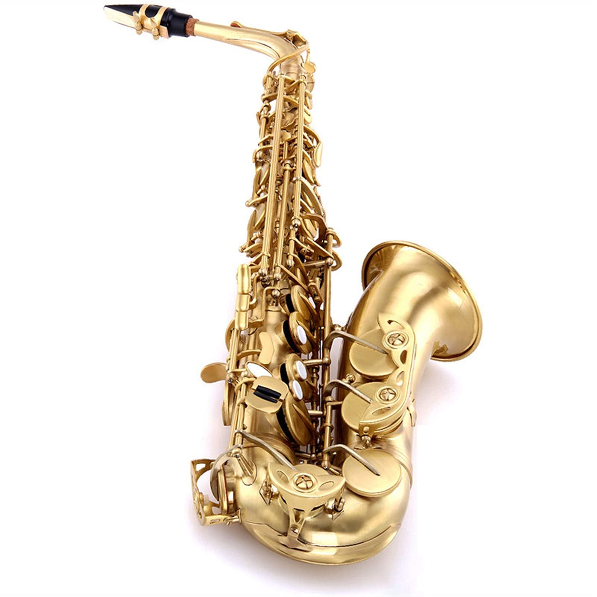 E Flat Alto Saxophone Set D217223