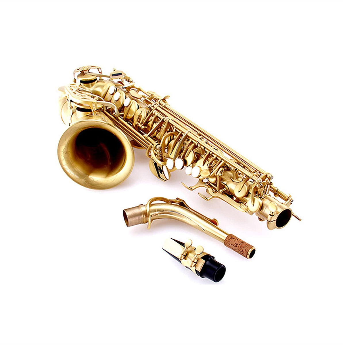 E Flat Alto Saxophone Set D217223