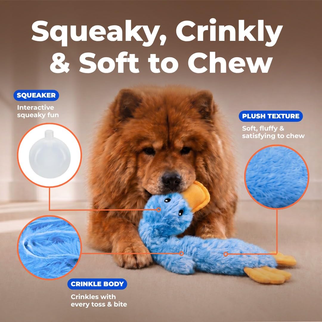 Interactive Squeaky Dog Toy Crinkle Duck Blue V396