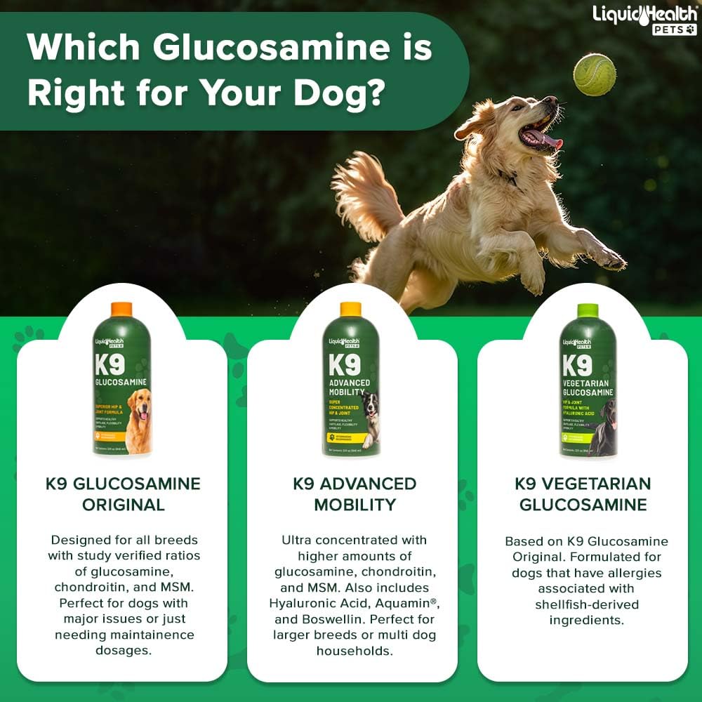Liquid Glucosamine for Dogs with Chondroitin MSM Hyaluronic Acid 2 Pack Q167