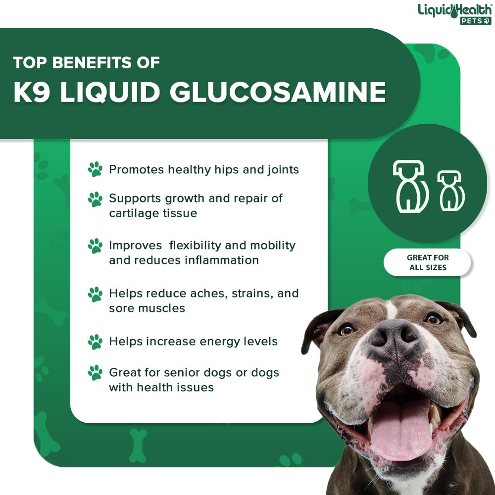 Liquid Glucosamine for Dogs with Chondroitin MSM Hyaluronic Acid 2 Pack Q167