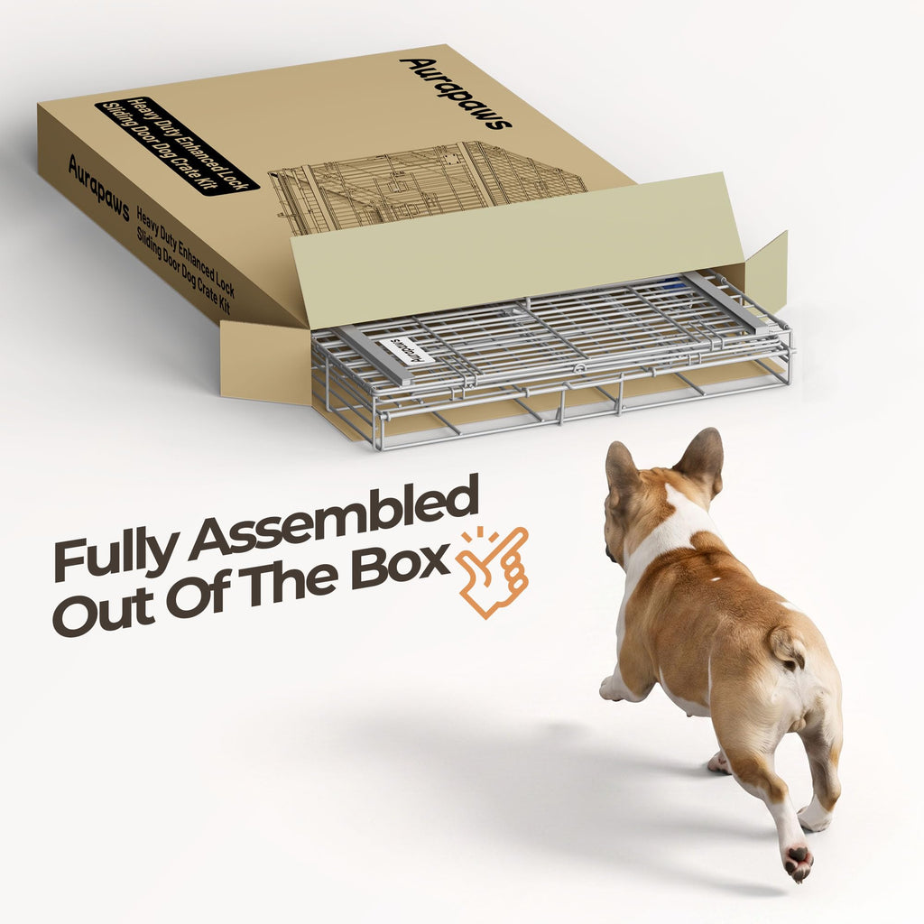 36 Inch Collapsible Dog Crate O915605