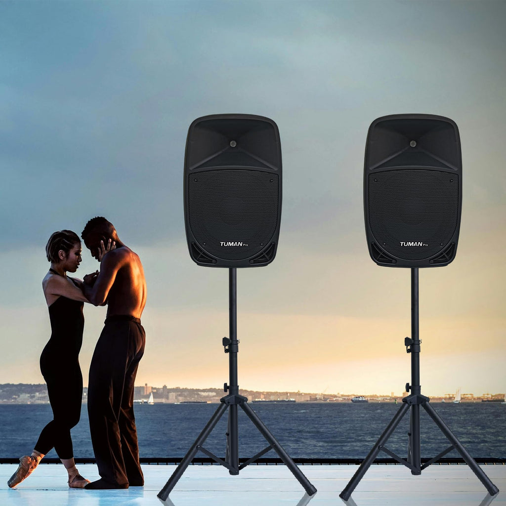 10 Inch 1200W PA Speaker System C593