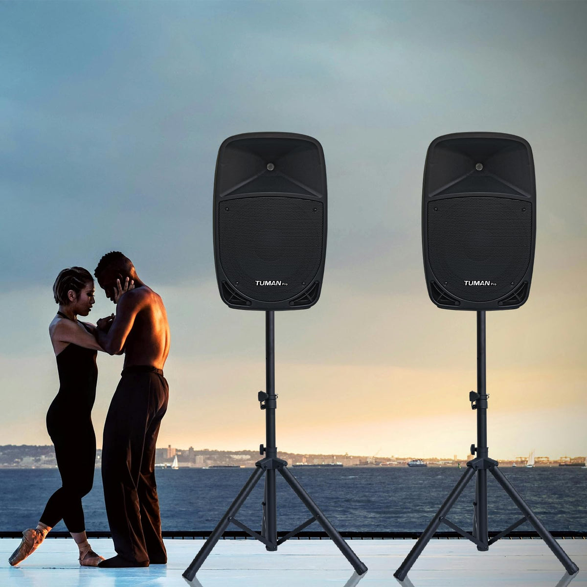 10 Inch 1200W PA Speaker System C593