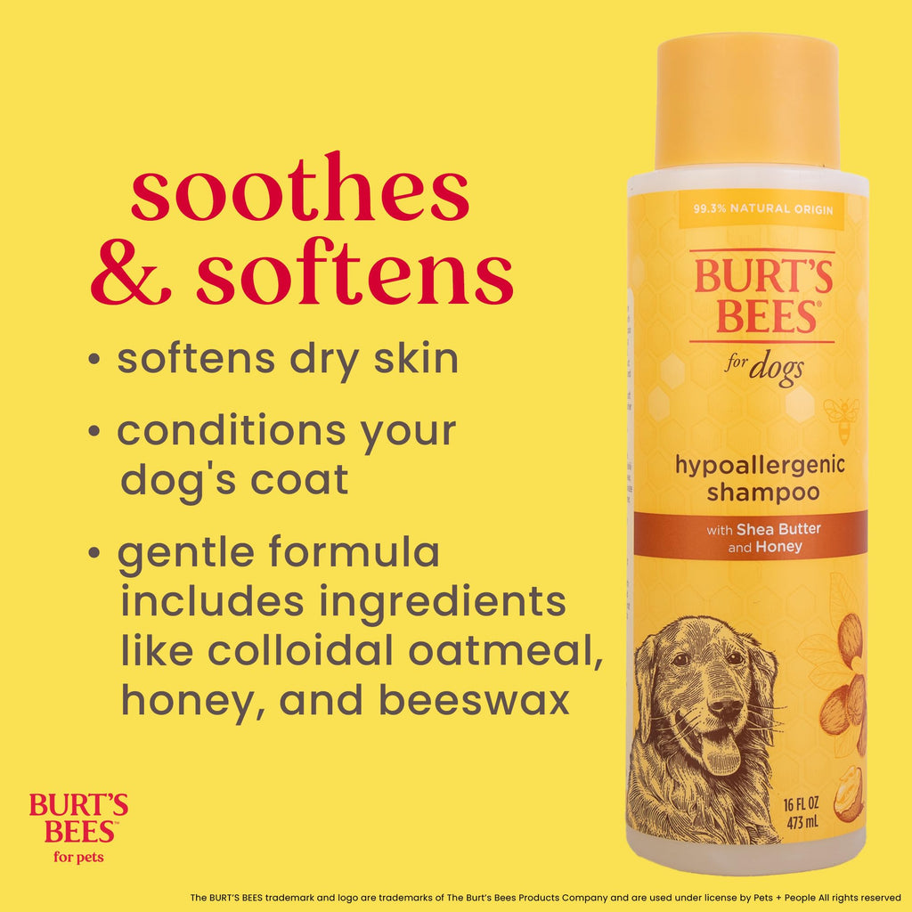 Hypoallergenic Dog Shampoo Shea Butter Honey 16 Fl Oz B4927