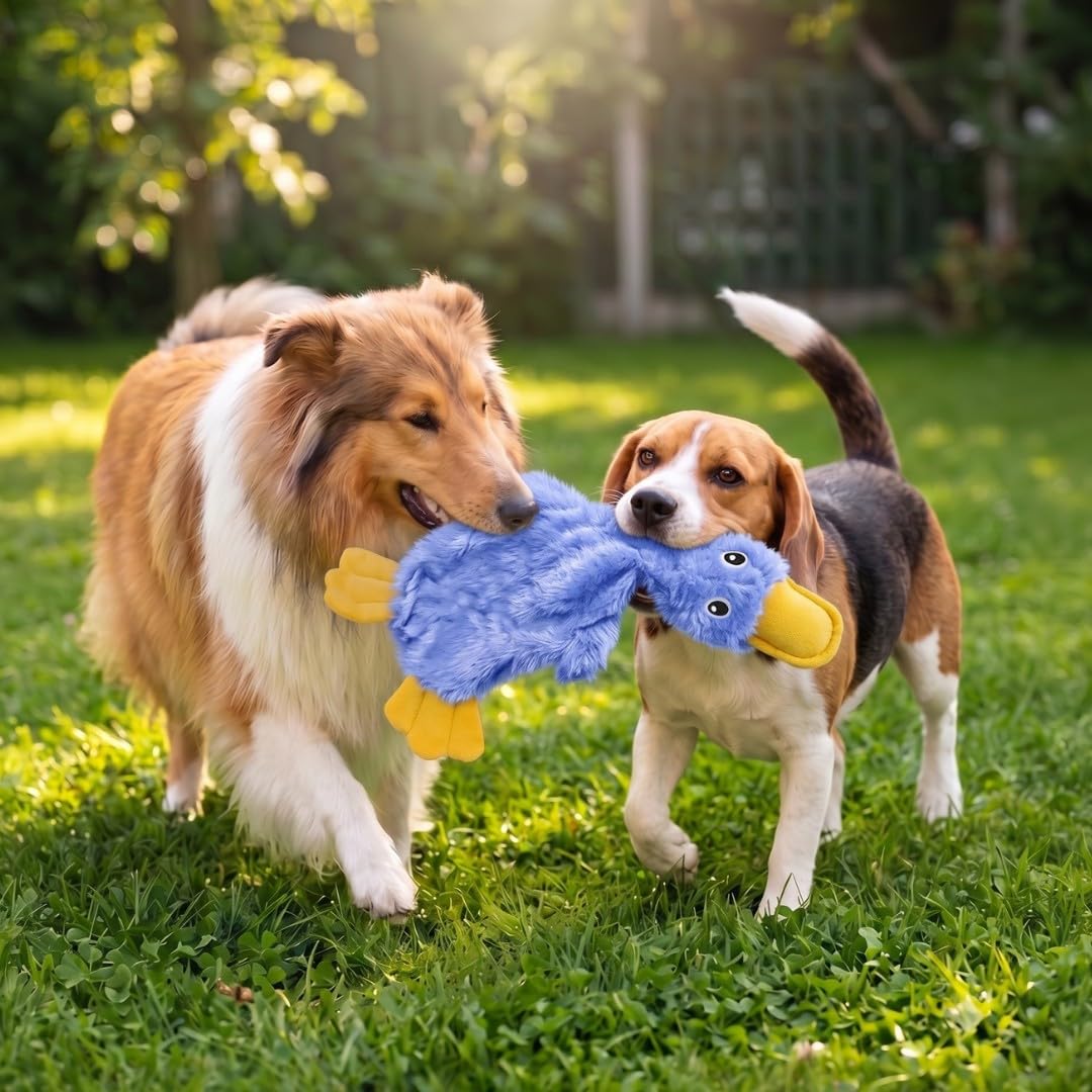 Interactive Squeaky Dog Toy Crinkle Duck Blue V396