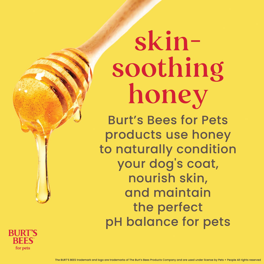 Hypoallergenic Dog Shampoo Shea Butter Honey 16 Fl Oz B4927
