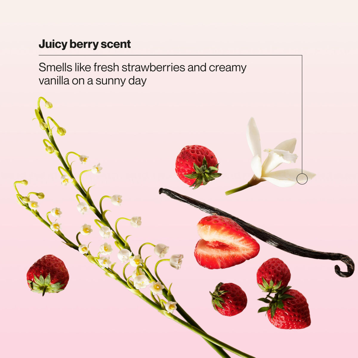 Berry Awesome Detangler Spray 10 oz Pack of 6 G374