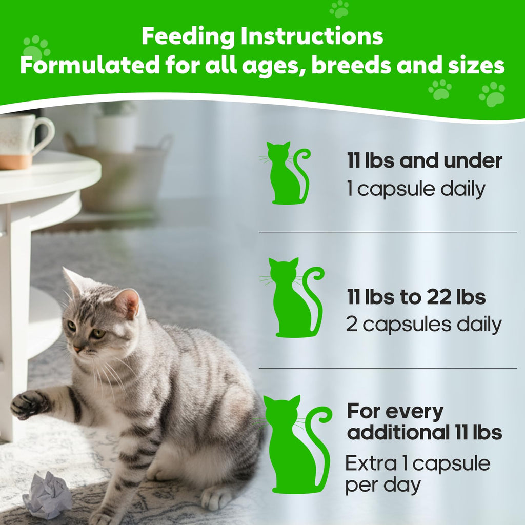 Cat Hairball Relief with Psyllium Seed Husk and Vitamins O94609