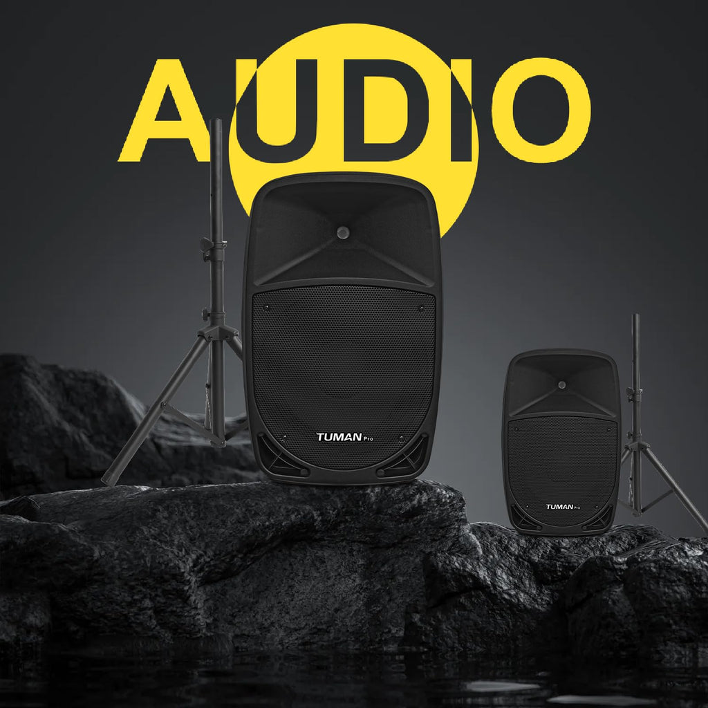 10 Inch 1200W PA Speaker System C593