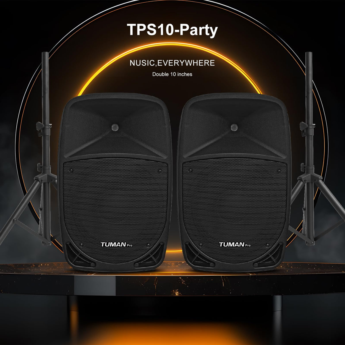 10 Inch 1200W PA Speaker System C593