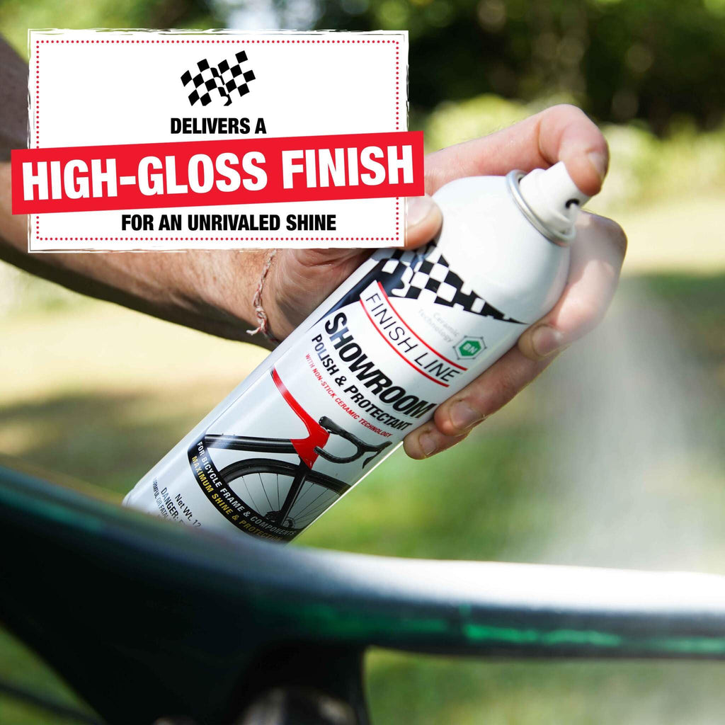 Polish And Protectant Aerosol, 12 fl oz H138