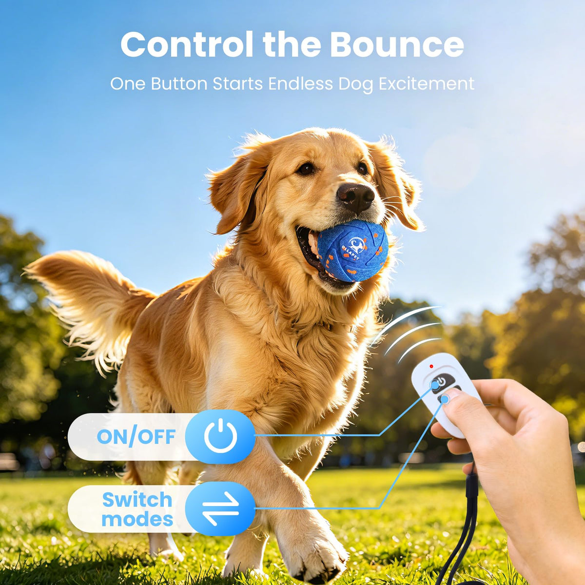 Interactive Dog Toy Ball B279