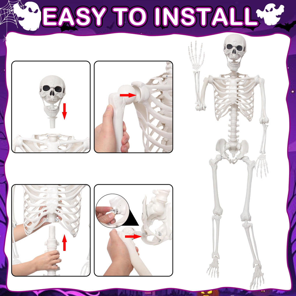 5.4Ft Life Size Skeleton with Movable Joints O8554