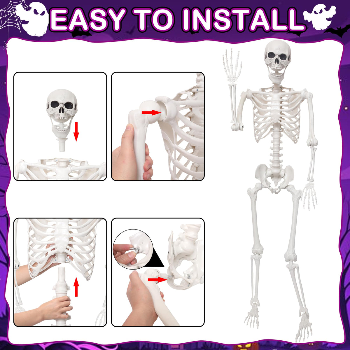 5.4Ft Life Size Skeleton with Movable Joints O8554