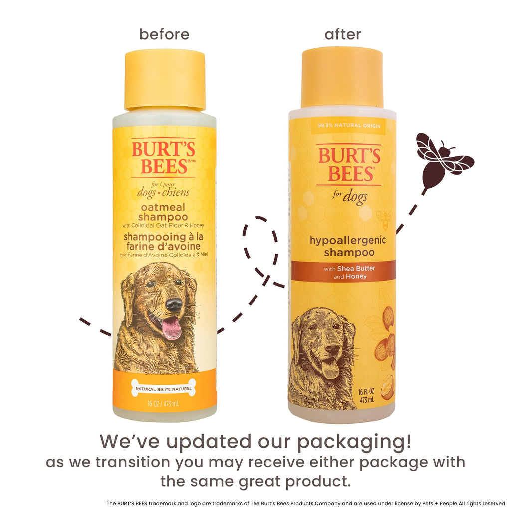 Hypoallergenic Dog Shampoo Shea Butter Honey 16 Fl Oz B4927