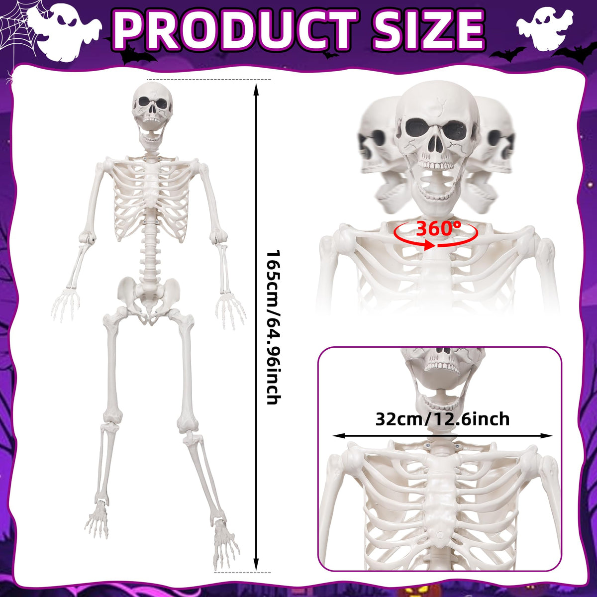 5.4Ft Life Size Skeleton with Movable Joints O8554