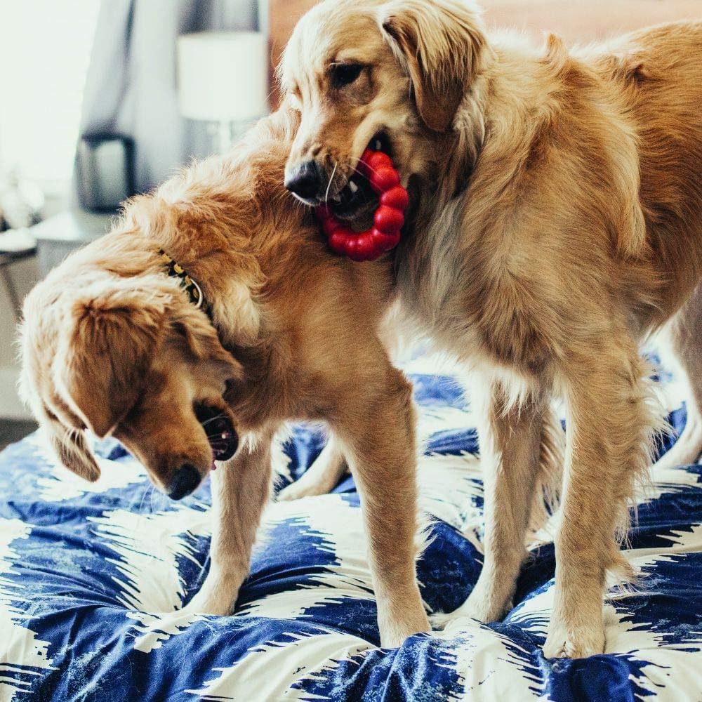 Natural Rubber Chew Toy for Small/Medium Dogs C369