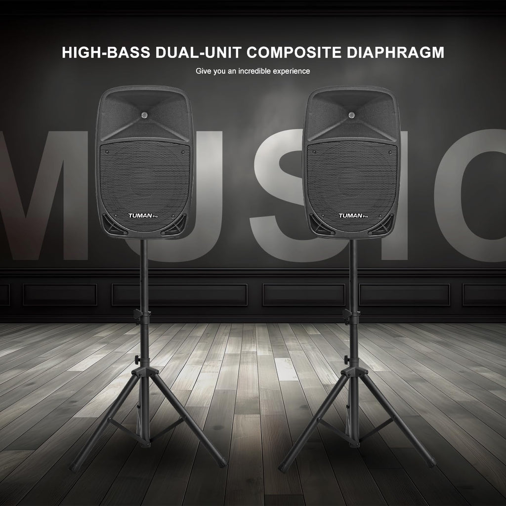 10 Inch 1200W PA Speaker System C593