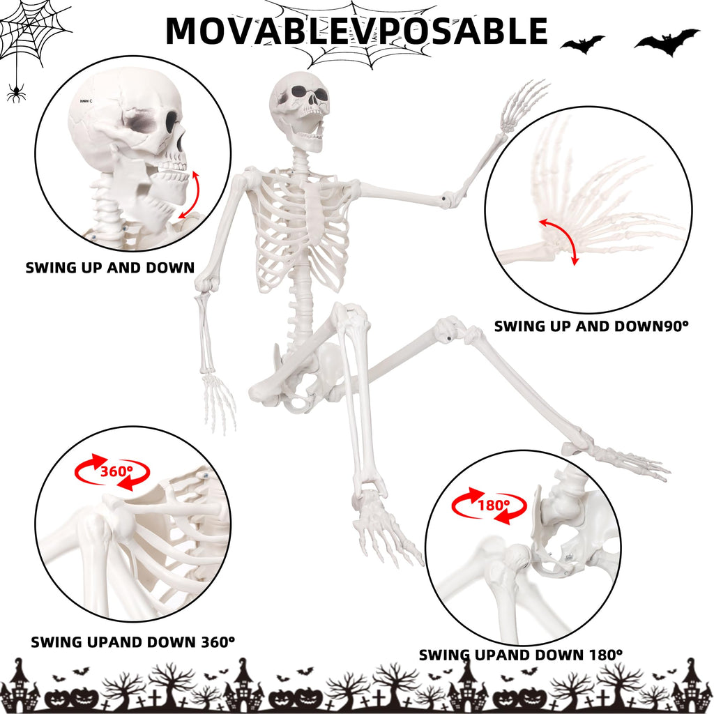 5.4Ft Life Size Skeleton with Movable Joints O8554
