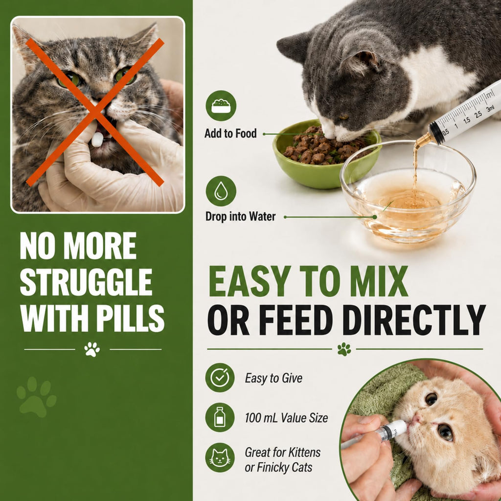 Liquid Dewormer Oral Suspension for Cats M652338