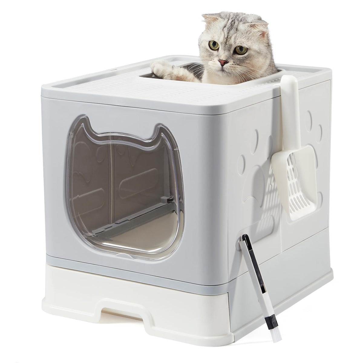 Covered Litter Box with Lid and Scooper Y540