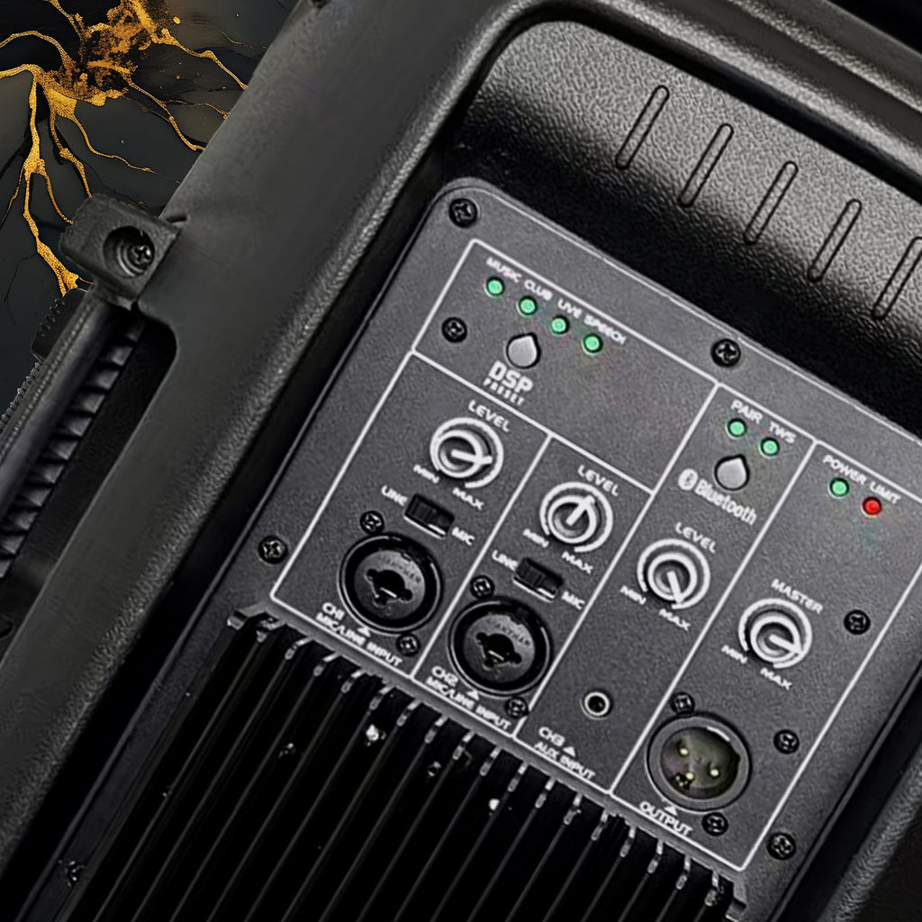 10 Inch 1200W PA Speaker System C593