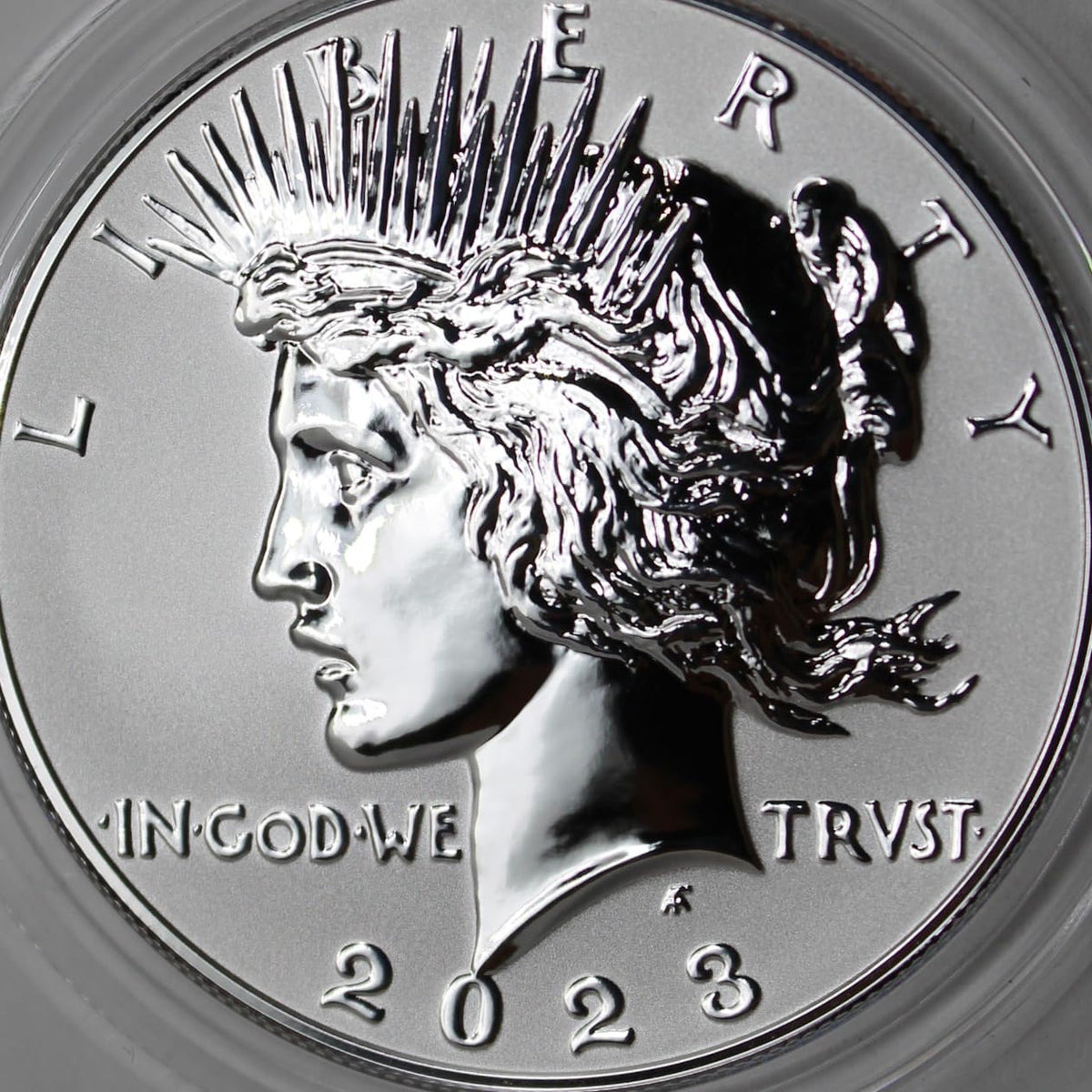 American Silver Morgan and Peace Dollar $1 H13959