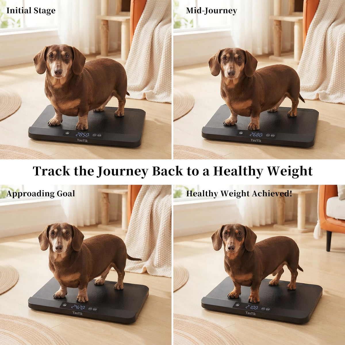 Digital Pet Scale with Non-Slip Mat, Up to 88lb, Black Z6235
