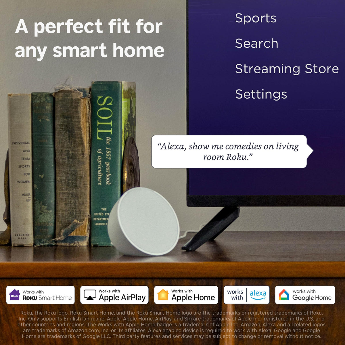 24-Inch 720p HD LED Smart TV B187