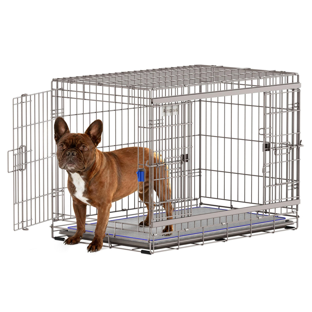 36 Inch Collapsible Dog Crate O915605