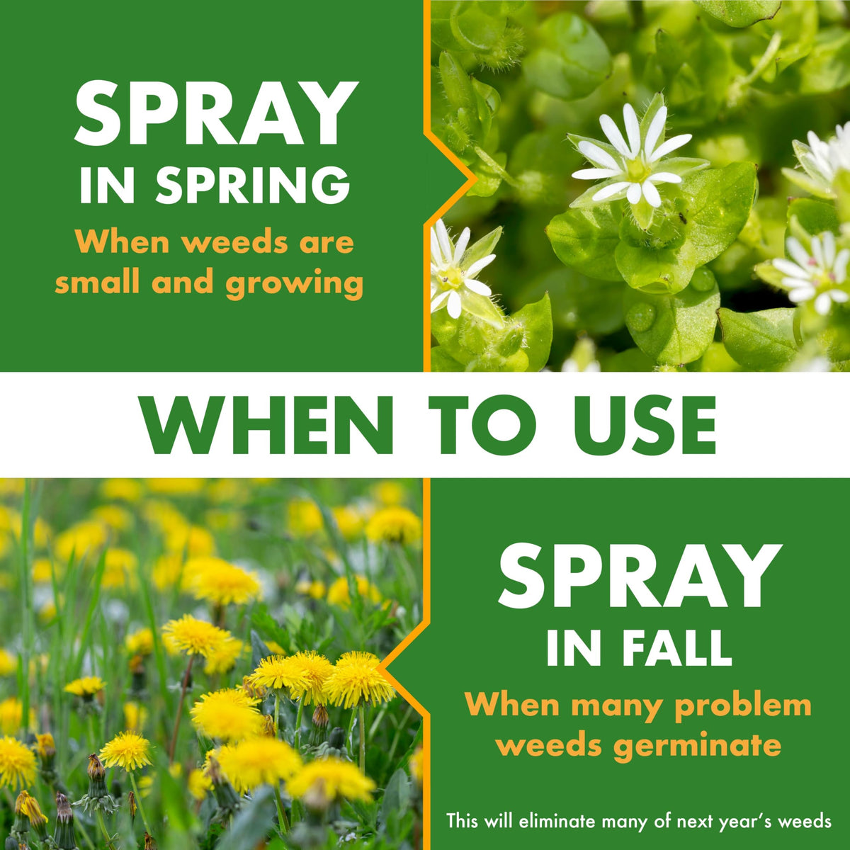 1 Gal Concentrate Weed Stop for Lawns H33448