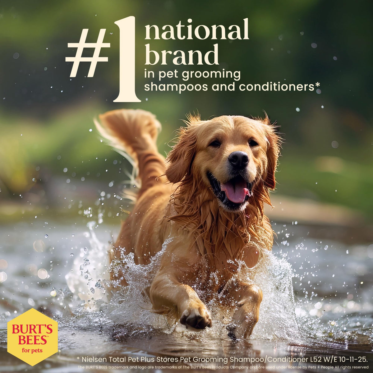 Hypoallergenic Dog Shampoo Shea Butter Honey 16 Fl Oz B4927