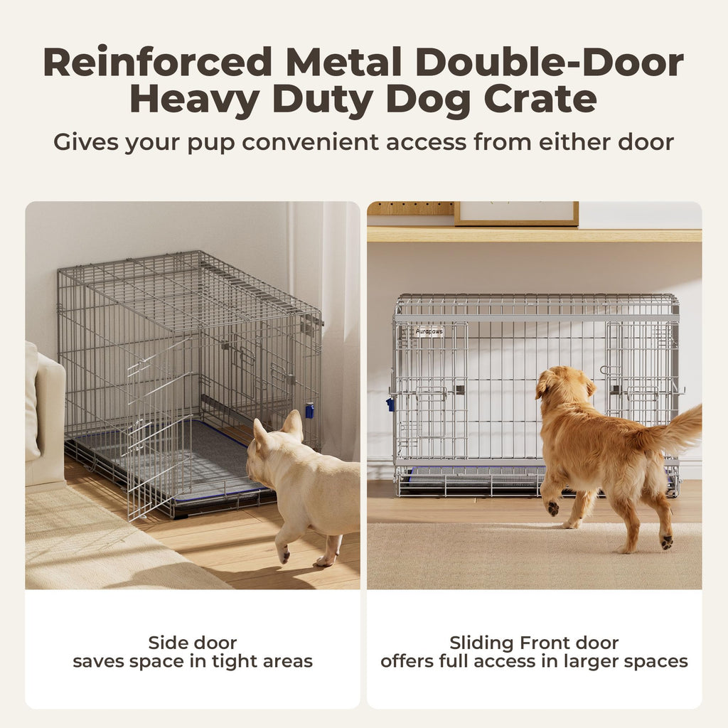 36 Inch Collapsible Dog Crate O915605
