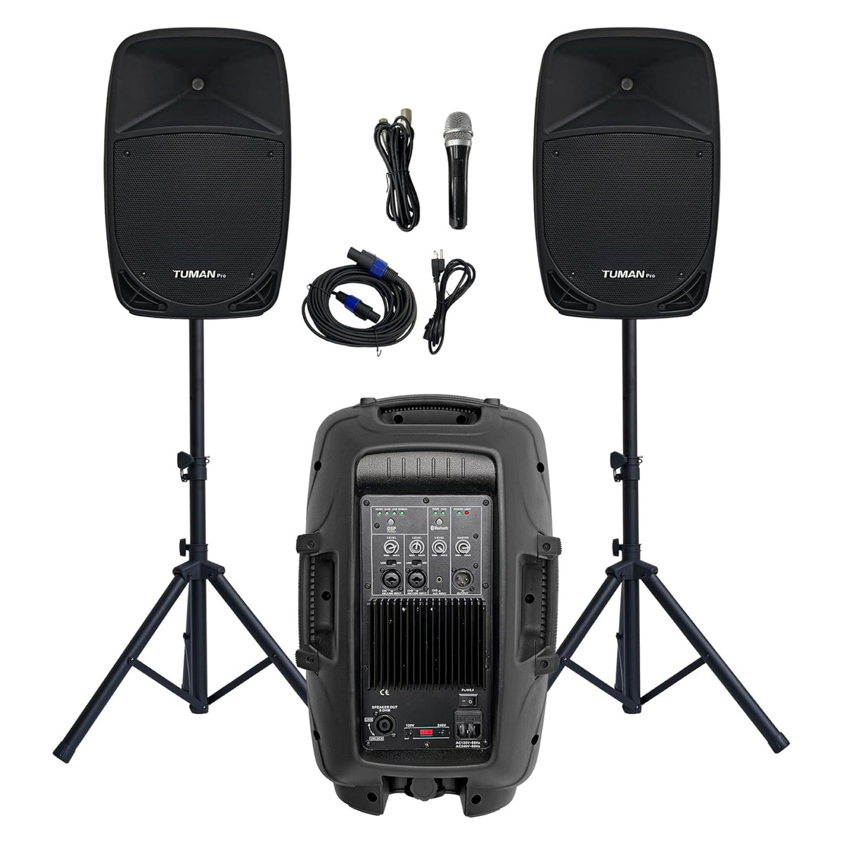 10 Inch 1200W PA Speaker System C593