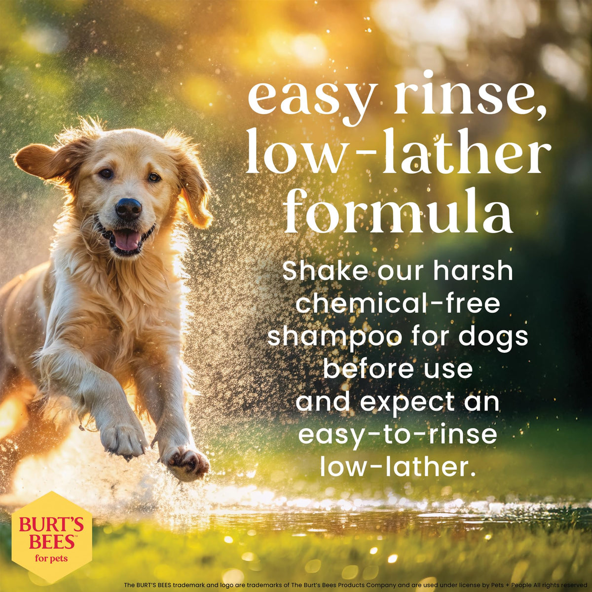 Hypoallergenic Dog Shampoo Shea Butter Honey 16 Fl Oz B4927