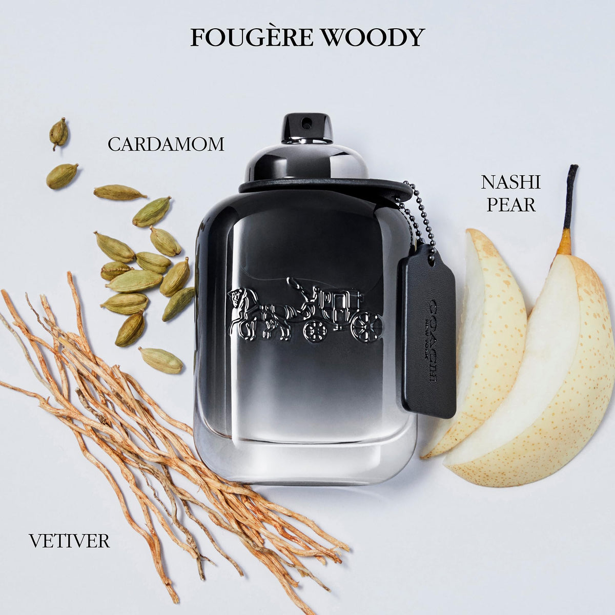 Eau de Toilette Fougere Woody Fragrance N6757