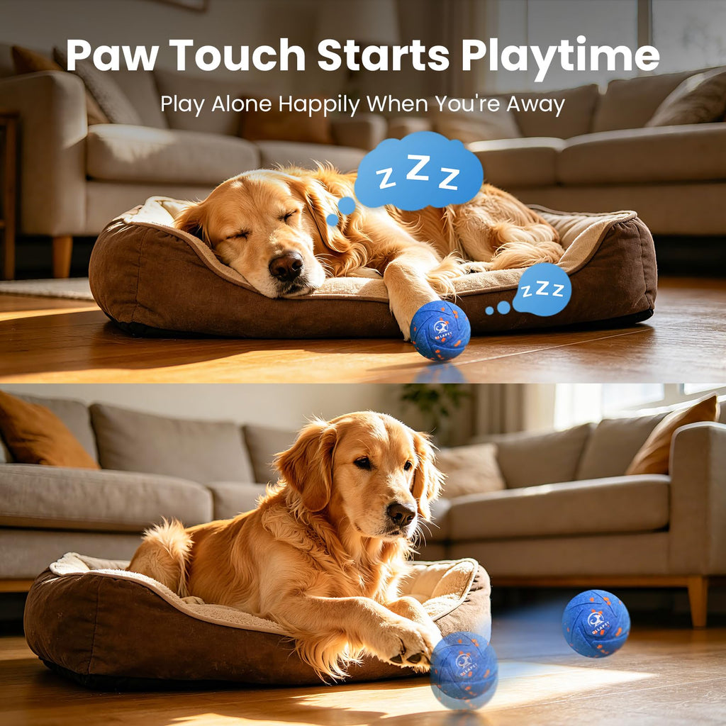 Interactive Dog Toy Ball B279