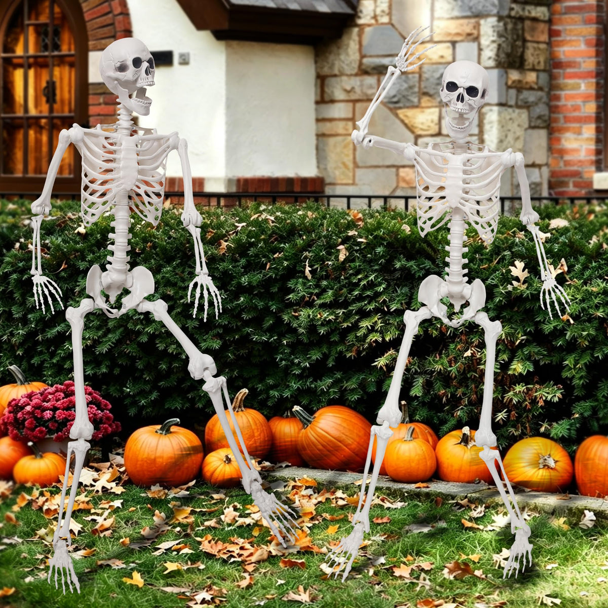 5.4Ft Life Size Skeleton with Movable Joints O8554